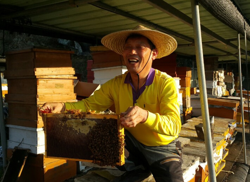 선비벌꿀 대표 권용휘